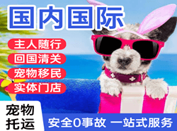 奇台江空运公司国际宠物托运 【国